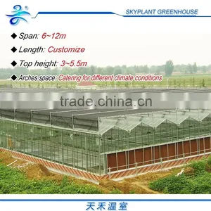 Horticultural Glass Greenhouse Multi-span Glass Greenhouse thumbnail-5