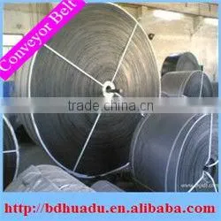 Nylon Conveyor Belt (NN100-250) thumbnail-1