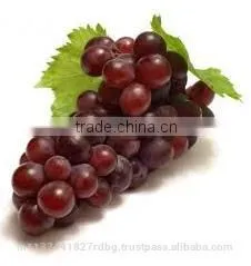 Black Grapes ,White Grapes,Seedless Grapes Exporter thumbnail-6