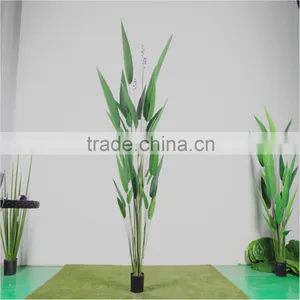 Artificial Plant Water Beauty thumbnail-4