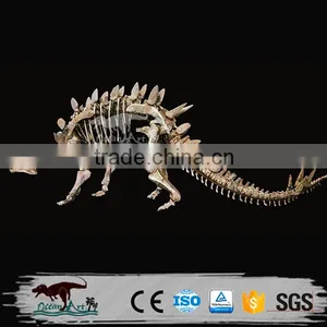 OA2258 Fiberglass Skeleton Model Dinosaur Skull Replica for Sale thumbnail-6