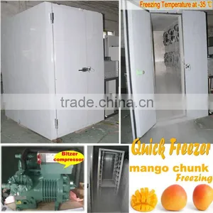 Quick Freezer for 300kg Mango Chunks Freezing thumbnail-1
