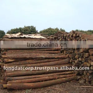 Eucalyptus Veneer thumbnail-4