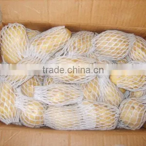 Whole Sale Big Quantity Fresh Yellow Potato (chinese) thumbnail-5