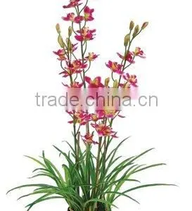 Artificial Plastic Flower-cymbidium thumbnail-1