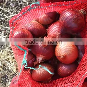 Fresh Red Onion thumbnail-1