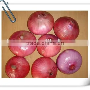 2014 New Crop of Fresh Red Onion in Carton Box for Export thumbnail-1