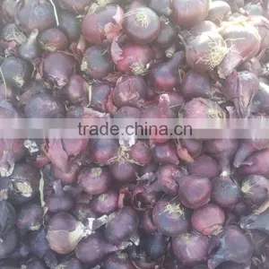 Fresh (RED ,Yellow , White ) ONION thumbnail-5