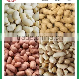 High Quality Blanched Peanut Kernel in Bulk in China thumbnail-6