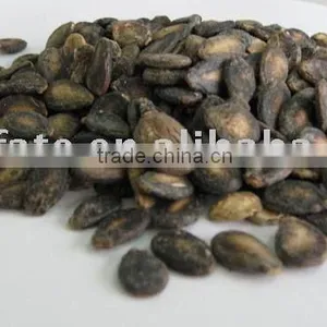 Black Watermelon Seeds B Grade in Low Price thumbnail-1