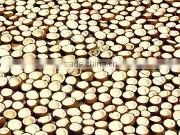 Coconut in Tamilnadu thumbnail-1