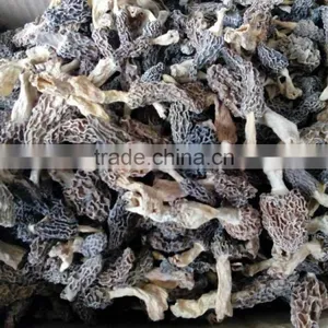 Dry Morchella Conica Price Dried Morel Mushrooms China Dry Mushroom thumbnail-1