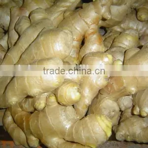 Fresh Air Dried Ginger thumbnail-1