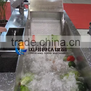 WA-1000 Automatic Vegetable Washing Machine,vegetable Washer,vegetable and Fruit Washing Machine thumbnail-5