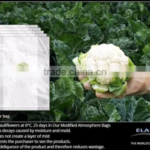 Cauliflower Protective Bag thumbnail-1