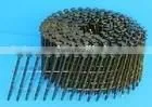 Coil Nail thumbnail-1