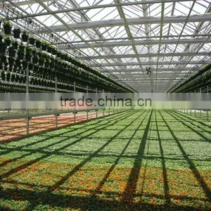 Polycarbonate Sheet Hydroponic Greenhouse System thumbnail-2