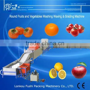 Fruit Washing Machine thumbnail-1