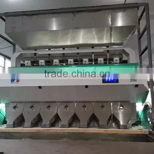 7 Chutes 448 Channels Pumpkin Kernels CCD Color Sorter/ Sorting Machine for Pumpkin Kernels thumbnail-6