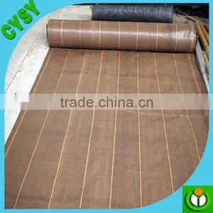 PP Ground Cover,weed Barrier Fabrics, Weed Mat in Strawberry Garden thumbnail-6