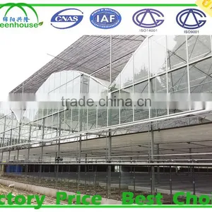 Horticultural Glass Greenhouses thumbnail-1