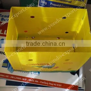 PP Corrugated Plastic Case thumbnail-1
