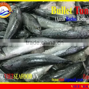 FROZEN BULLET TUNA W/R thumbnail-1