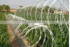 Razor Barbed Wire,razor Wire Fencing From Guangzhou thumbnail-1