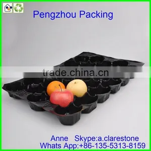 Pengzhou Plastic Injection Molding Tray thumbnail-6