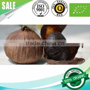 2016 Hot Sale Natural Green Food Fermented Black Garlic Single Bulb China thumbnail-3