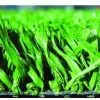 Sell Supply Football Soccer Grass--Sell Supply Football Soccer Grass thumbnail-1