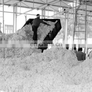 Indian Raw Cotton 100% Pure Cotton Shankar 6 C1% 2016-17 Crop 29mm 29gpt Strength 4-4.9mic 8.5%Moisture 3%Trash thumbnail-3