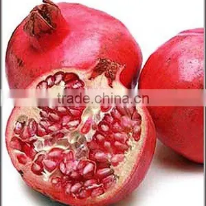 Pomegranate Extract Powder/Ellagic Acid/KOSHER Certificated thumbnail-1