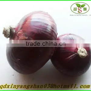 (CHINA RED ONION OFFER ) Red Onion /Fresh Onion thumbnail-1