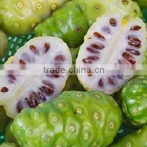 Super Quality Noni Powder For OEM thumbnail-2