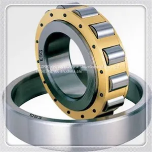 CYLINDRICAL ROLLER BEARINGS thumbnail-1
