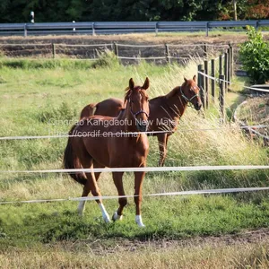 Pasture Electric Fence Accessories Electric Polytape Webbing thumbnail-3