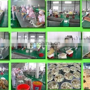 2023 New Hot Sale Fresh Fruits Vegetables Salad Washing Slicing Packing Processing Line for Supermarket thumbnail-5