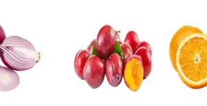 Easy Operation Fruit and Vegetable Waxing and Sorting Machine Citrus Orange Grading and Waxing Equipment thumbnail-5