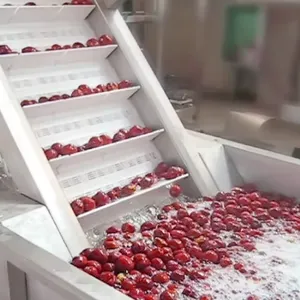 Turnkey Project Complete Set of Palm Dates Processing Line Date Syrup Production Line thumbnail-1