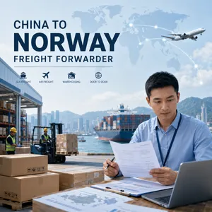 China to Norway Freight Forwarder With Customs Clearance Support thumbnail-1
