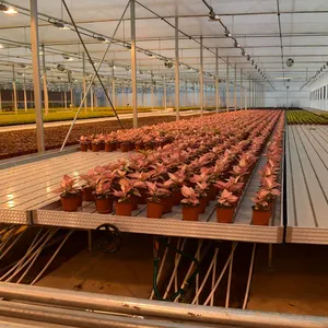 Tidal Seedbed Greenhouse Hydroponic Growing Bench For Plant Nursery thumbnail-3