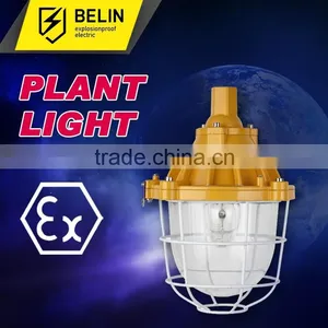 BYC6170 Plant Explosion Proof Light thumbnail-1