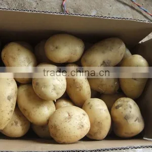 2015Anqiu Good Price of the Potato thumbnail-6