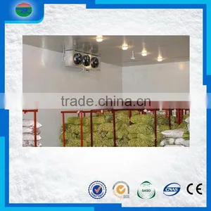 Most Popular Creative Nice Looking Cold Storage/cold Room for Corn Seed thumbnail-1