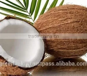 500gm High Quality Coconut Flour thumbnail-1