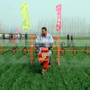 Agriculture Self-propelled Motor Engine Vector Control Sprayer thumbnail-5