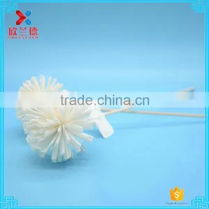5.5cm Cedar Ball Natural White Dried Flower Wooden Sticks Sticks Bestselling thumbnail-3