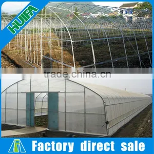 Galvanized Steel Structure Plastic Greenhouse Vegetable Grow Tent thumbnail-5