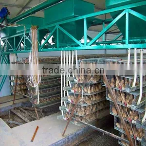 Galvanized Wire Mesh Layer Quail Cage Wholesale thumbnail-1